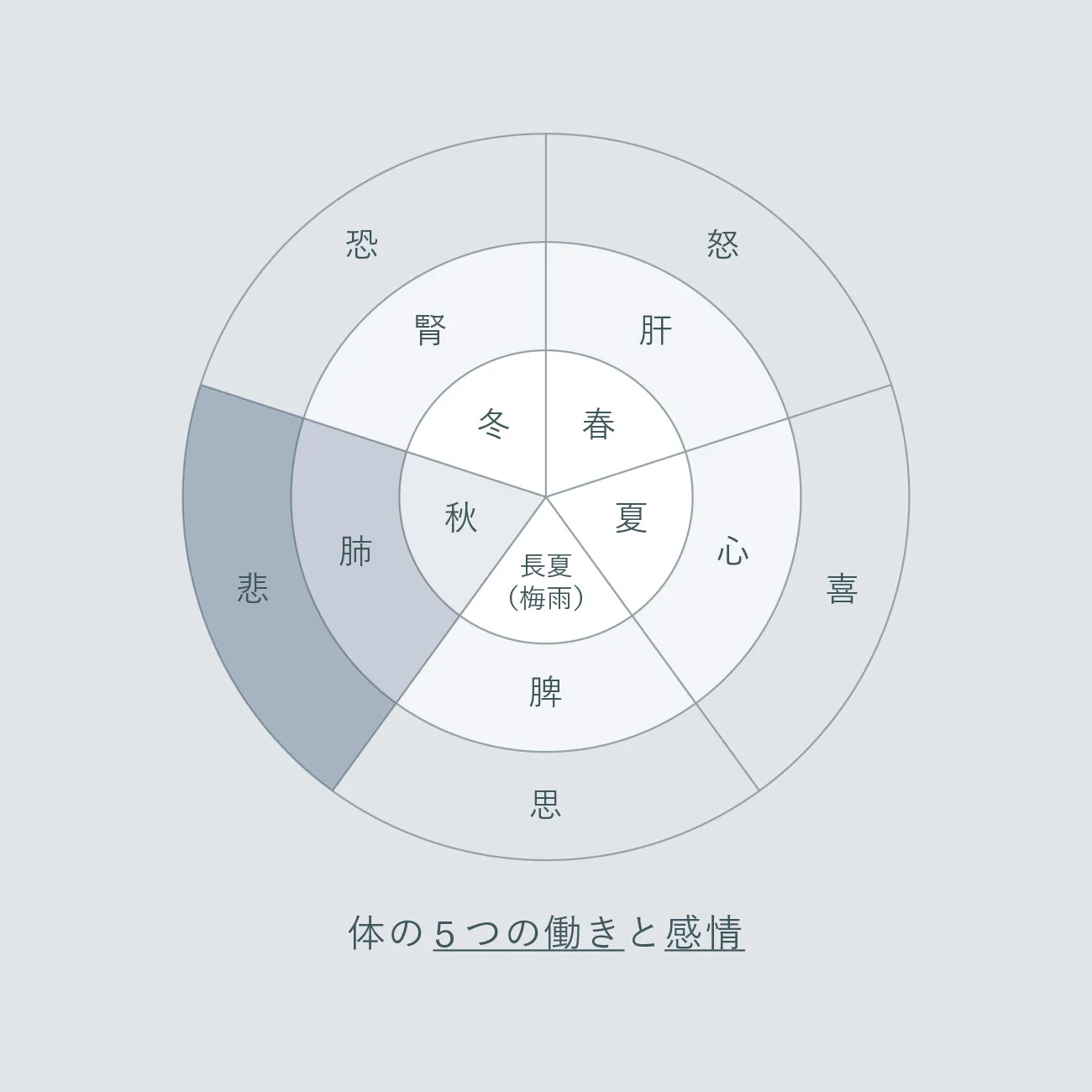 Five Elements Diagram