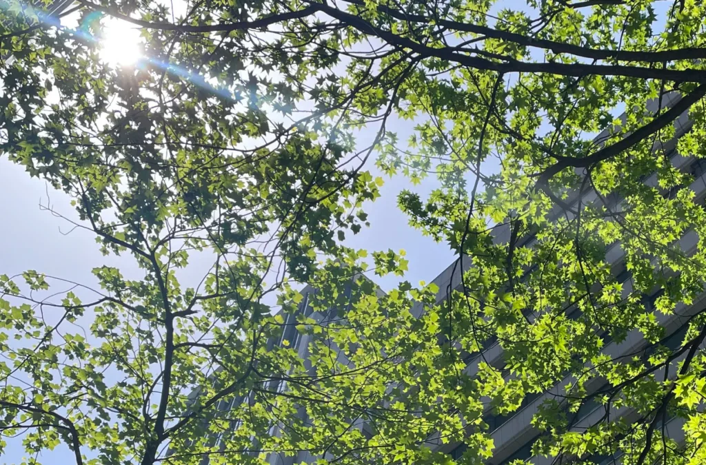 <div class="title80">エッセイスト・広瀬裕子さん vol.3</div>花を活ける